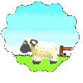 flossie the sheep jumping fences
